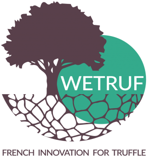 wetruf-truffe-terres-de-syrah.png